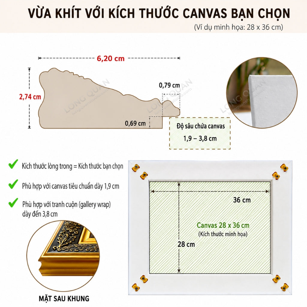F604 LONG QUAN - ảnh sản phẩm 7
