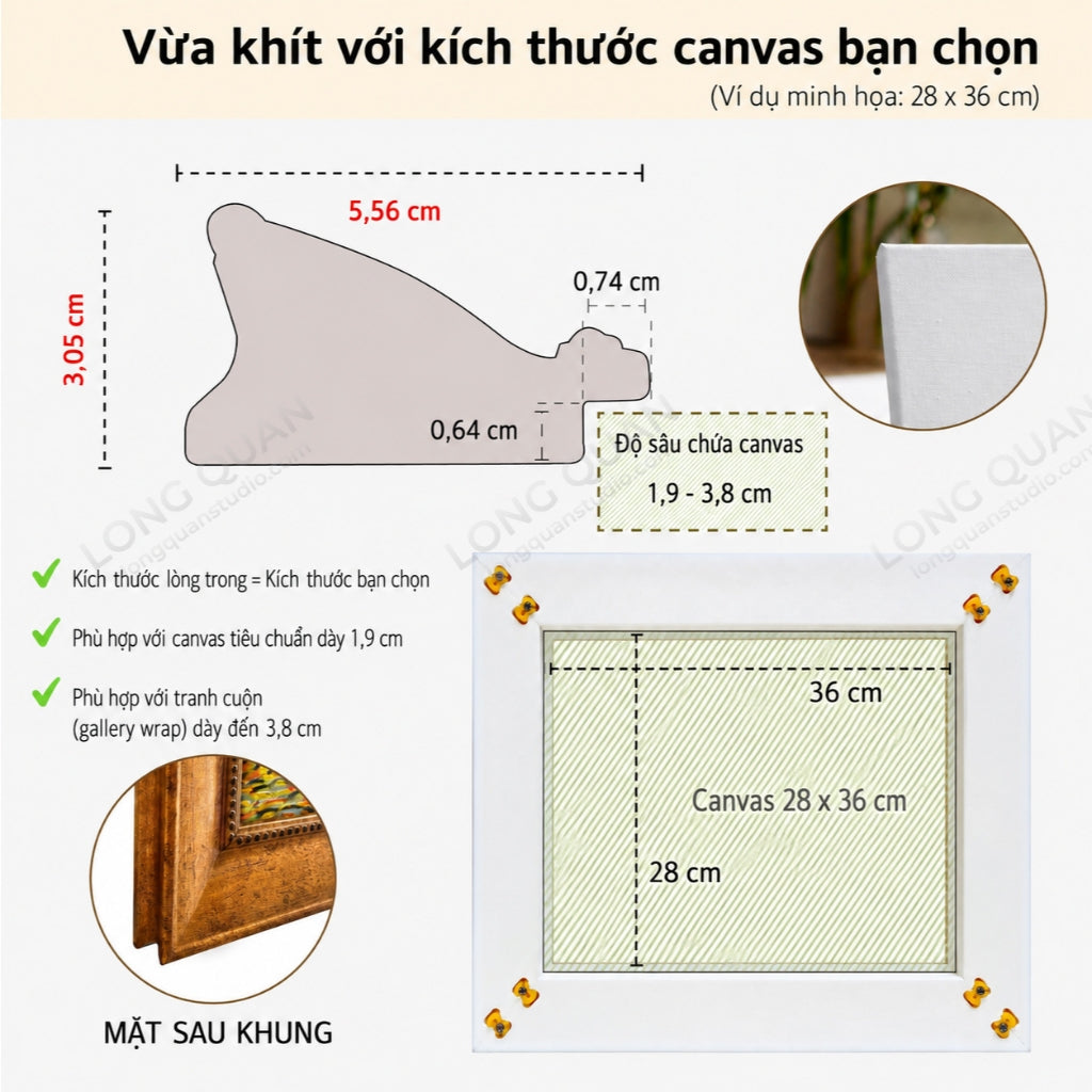 T600-Gold LONG QUAN - ảnh sản phẩm 5