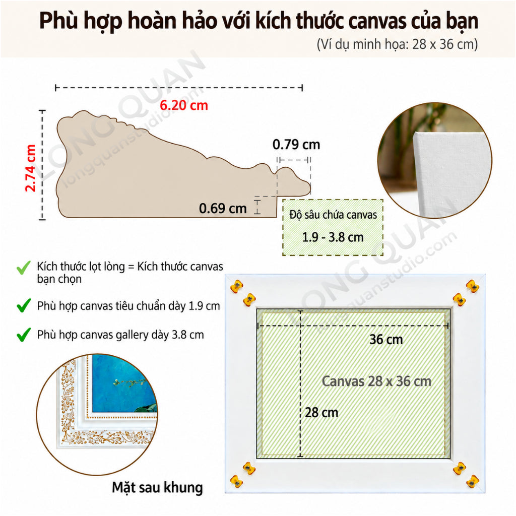 F604-WG LONG QUAN - ảnh sản phẩm 7